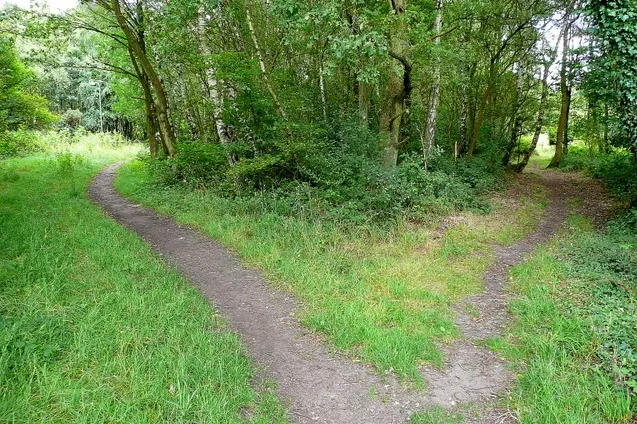 Pointless Path Passion Is A Dead Road To No Where, Holiness Is The Road That Leads To ...