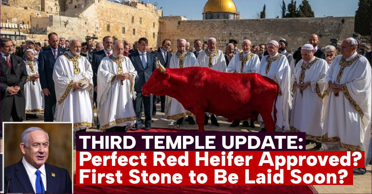 First Hebrew Temple THIRD TEMPLE UPDATE: Perfect Red Heifer Approved, First Stone to Be ...